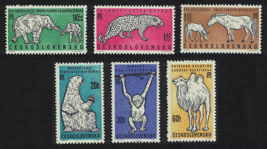 Czechoslovakia Elephant Leopard Polar Bear Chimpanzee Zoo 6v 1962 MNH SG#1291-1296 MI#1335-1340