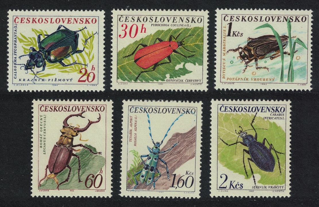 Czechoslovakia Beetles 6v 1962 MNH SG#1326-1331