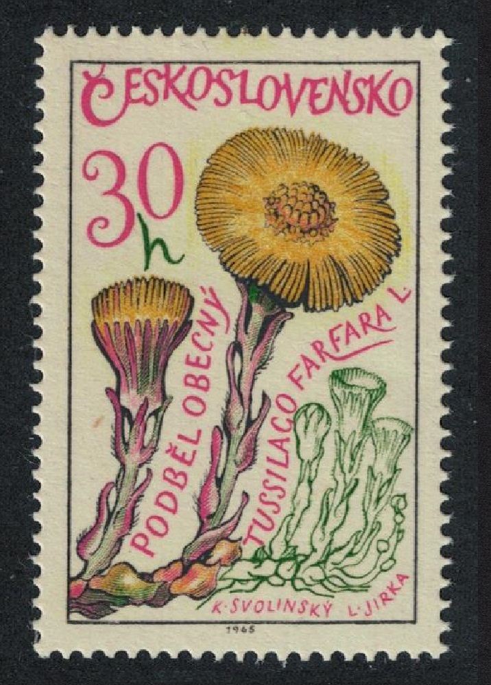 Czechoslovakia Medicinal Plants Coltsfoot 1965 MNH SG#1539