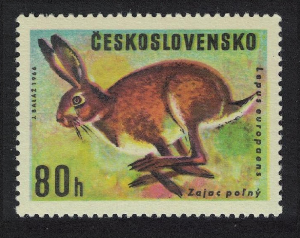 Czechoslovakia Brown hare Game Animals 1966 MNH SG#1615