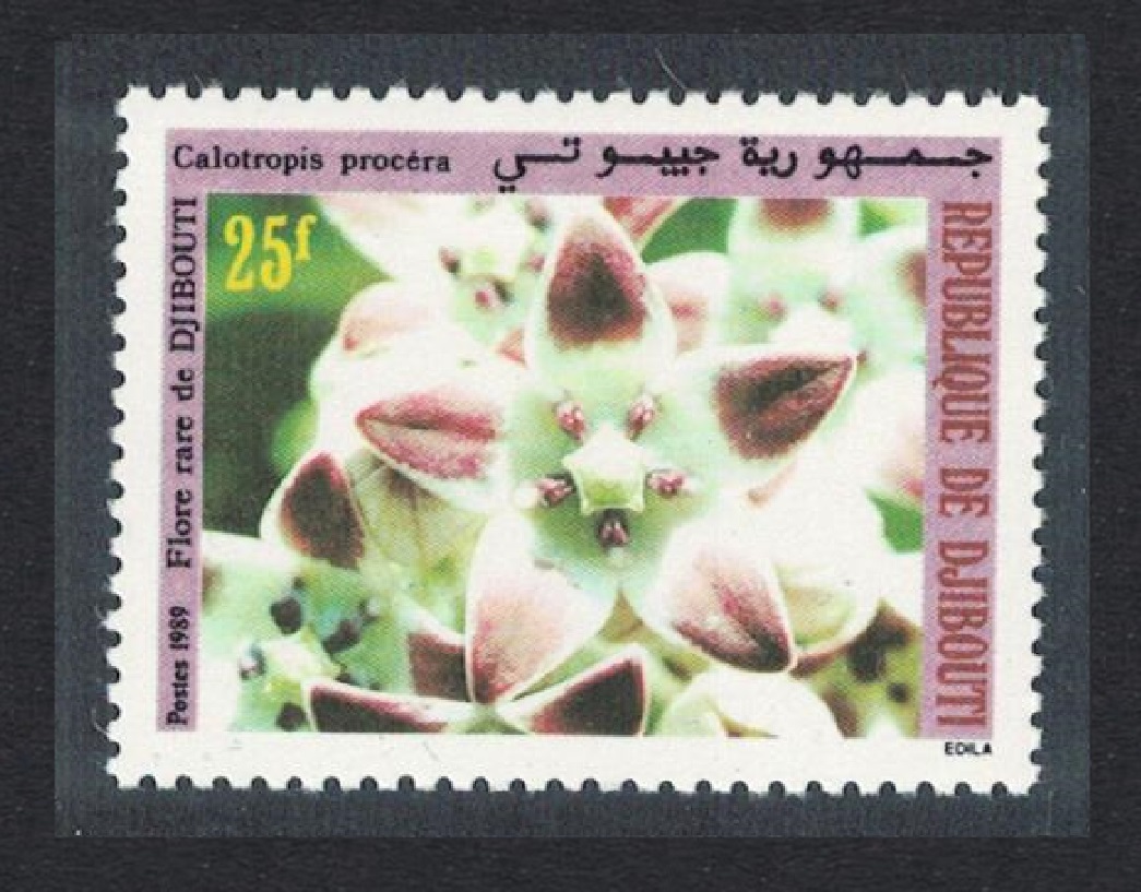 Djibouti Orchid &#39;Calotropis procera&#39; 1989 MNH SG#1037