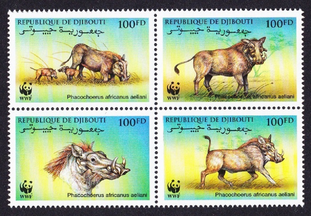 Djibouti WWF Eritrean Warthog 4v Block of 4 2000 MNH SG#1192-1195 MI#678-681 Sc#795 a-d