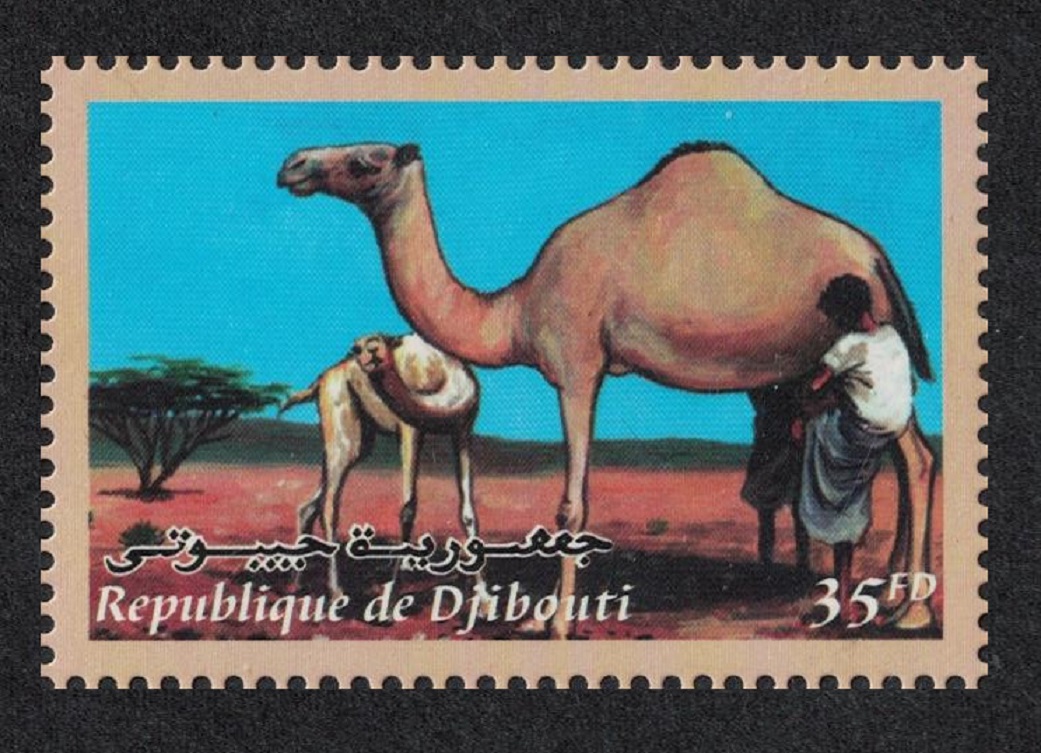 Djibouti Camel 35f 2000 MNH SG#1247