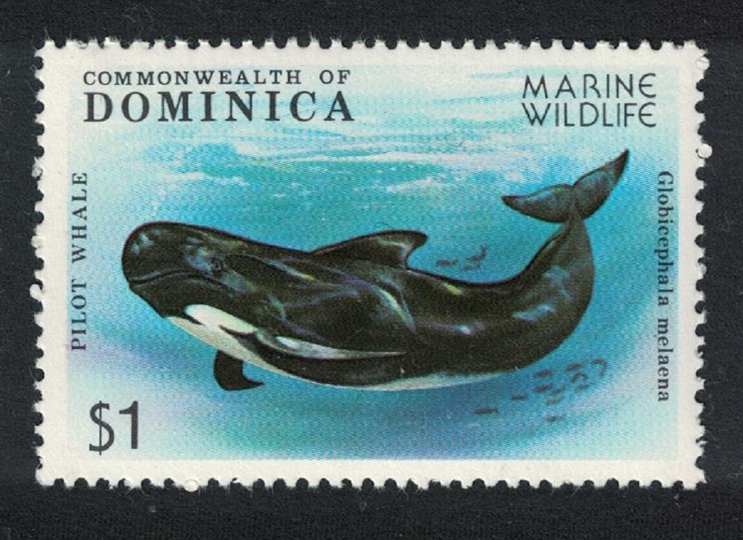 Dominica Whales 1979 MNH SG#664