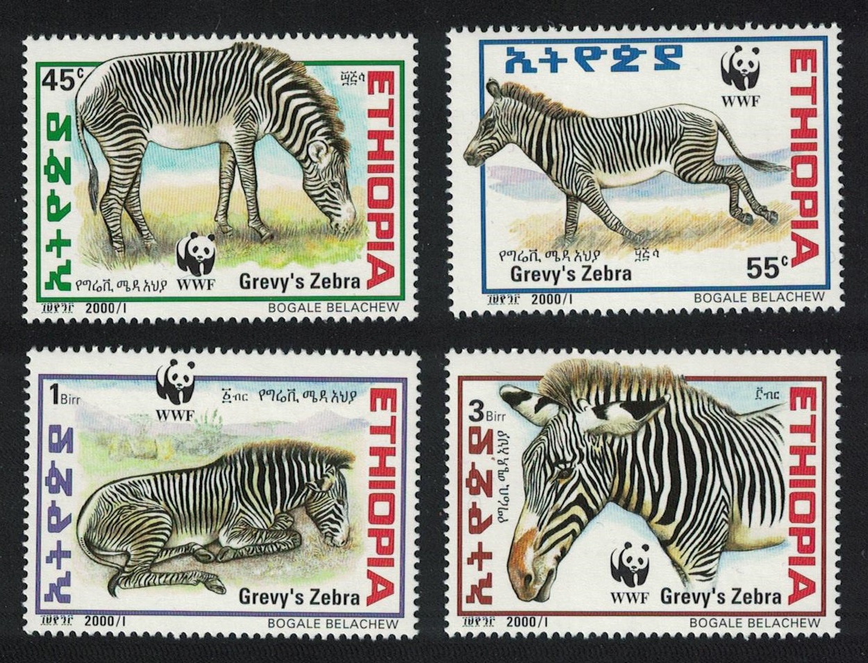 Ethiopia WWF Grevy&#39;s Zebra 4v 2001 MNH SG#1816-1819 MI#1704-1707 Sc#1533 a-d