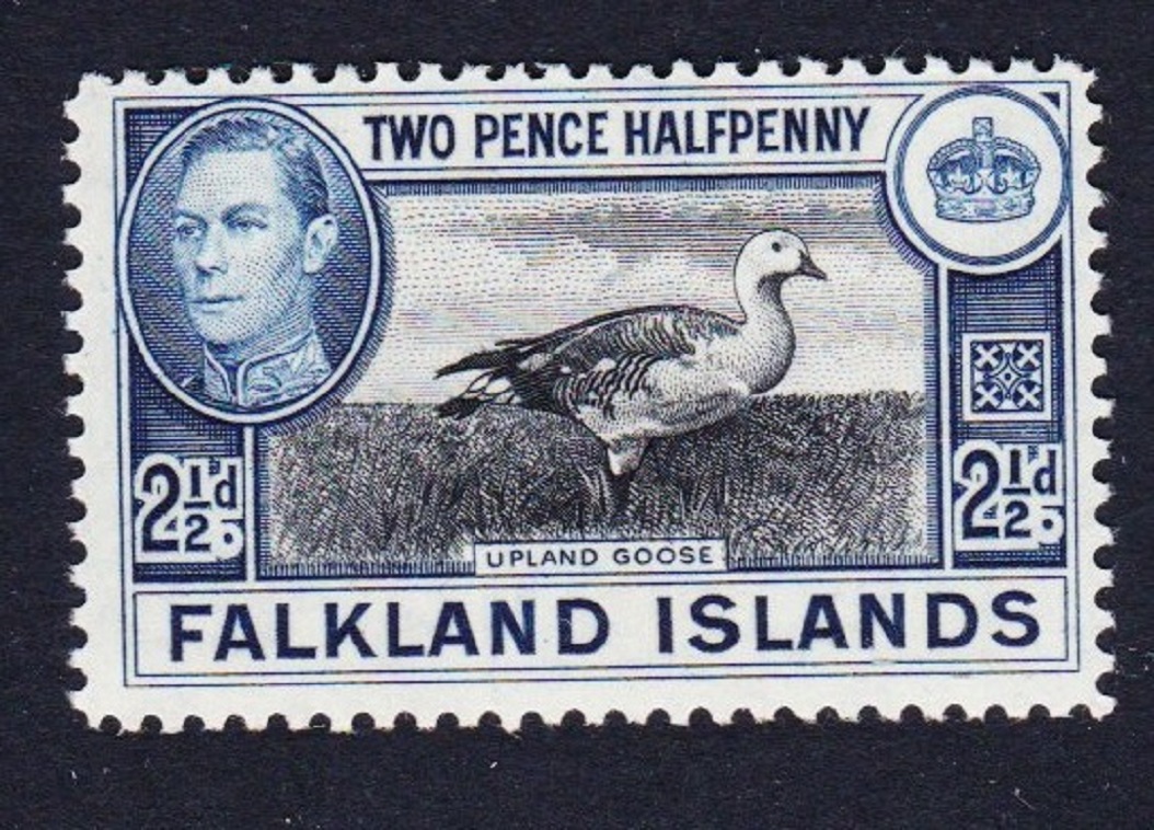 Falkland Islands Birds Upland Magellan Goose 2½d 1949 MNH SG#152 Sc#101