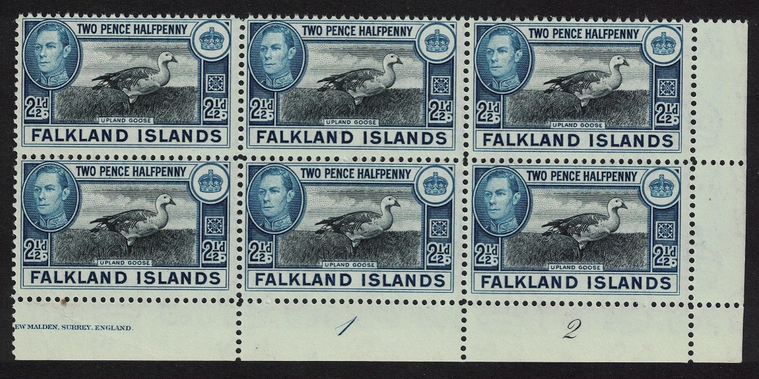 Falkland Islands Birds Upland Magellan Goose 2½d Plate Block of 6 1949 MNH SG#152 Sc#101