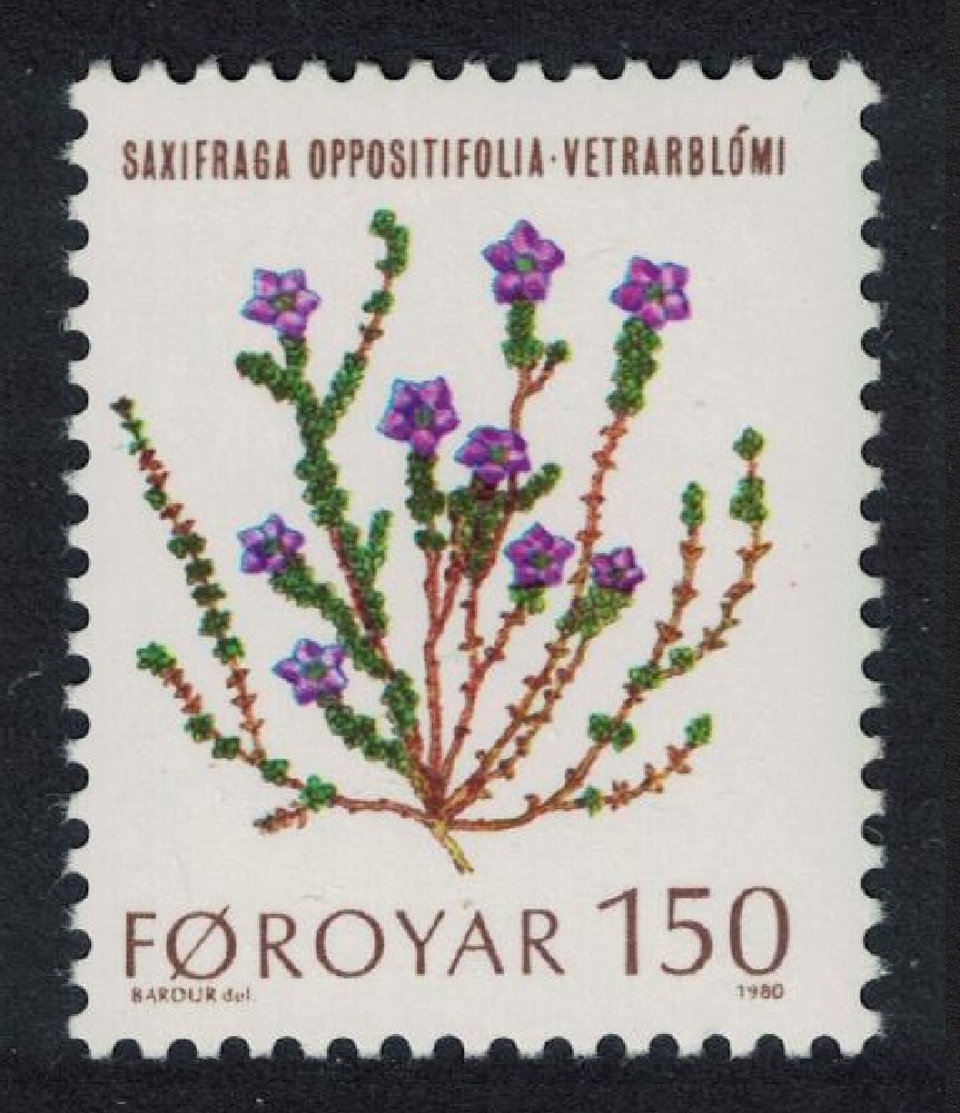 Faroe Islands Flowers Purple saxifrage 1980 MNH SG#49 MI#50