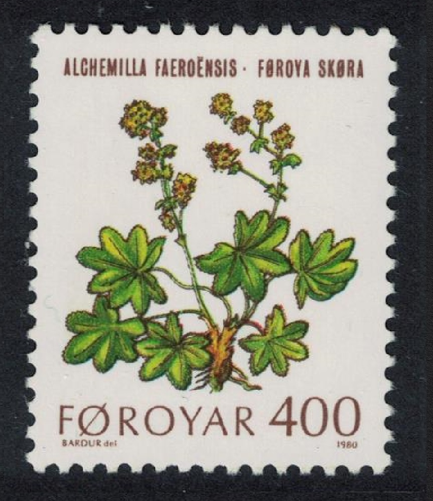 Faroe Islands Flowers Faroese lady&#39;s mantle 1980 MNH SG#51 MI#52