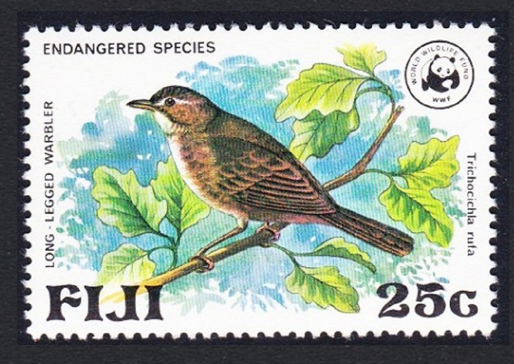 Fiji Birds WWF Long-legged Warbler 1979 MNH SG#566 MI#389 Sc#399