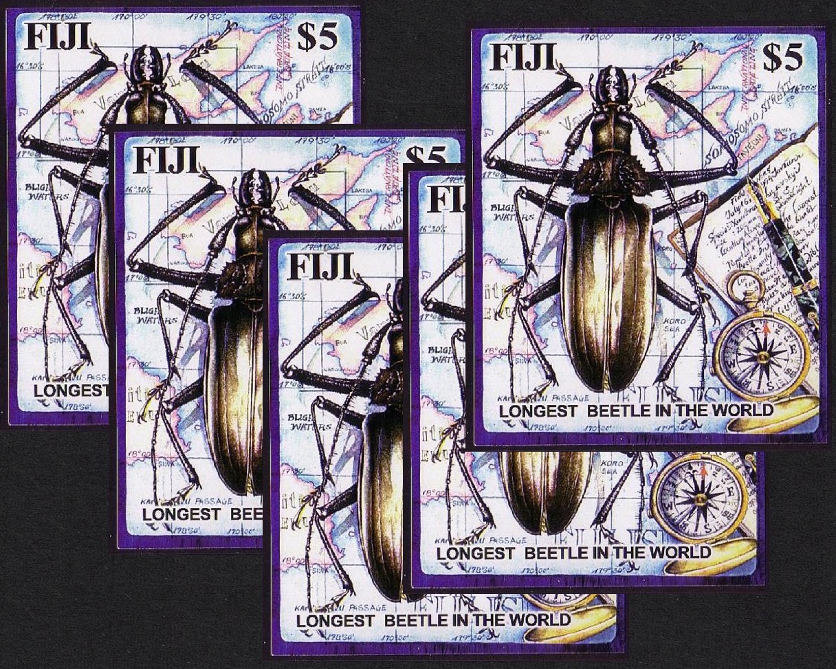 Fiji Longest Beetle in the World 5 MSs [A] 2004 MNH SG#MS1216