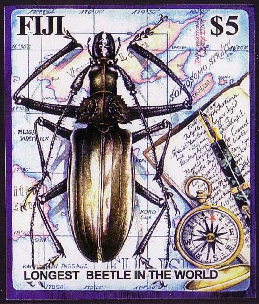 Fiji Longest Beetle in the World MS 2004 MNH SG#MS1216