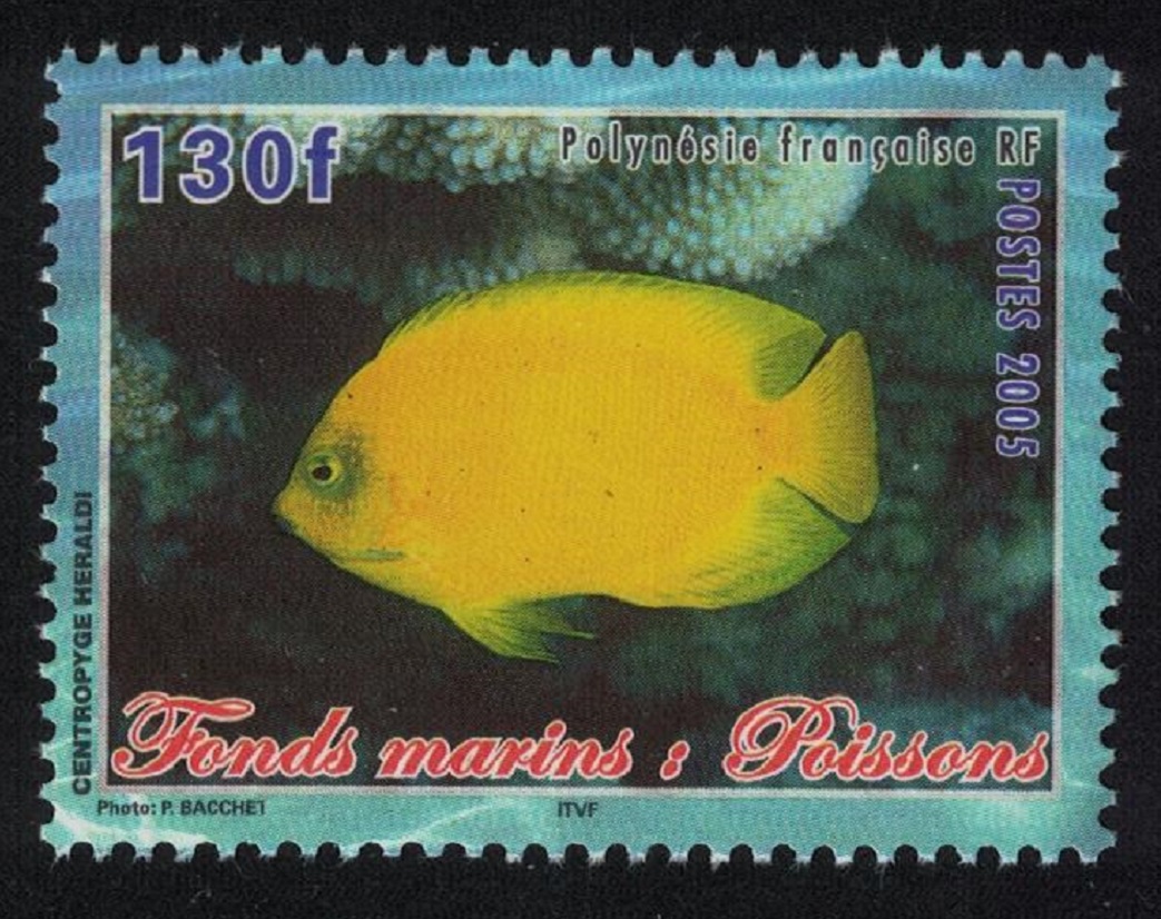 French Polynesia Fish Centropyde heraldi 130f 2005 MNH SG#1001 MI#946