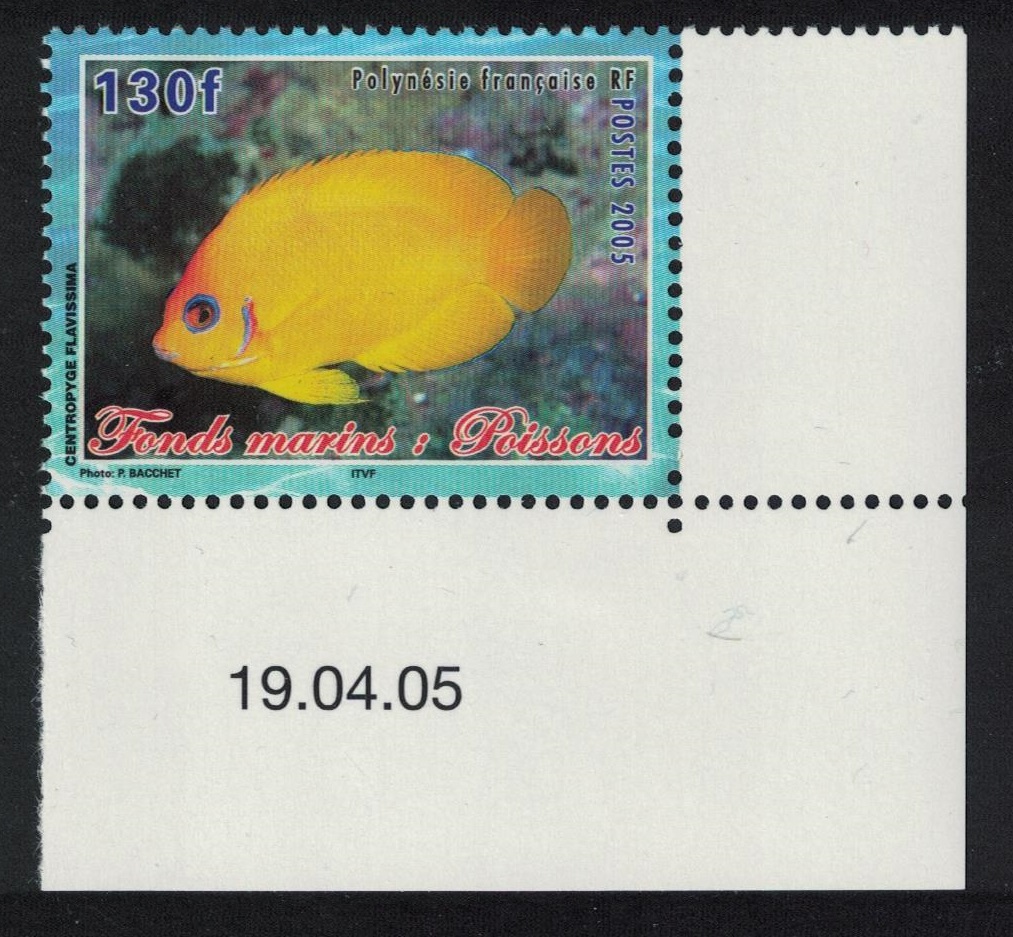 French Polynesia Fish Centropyde flavissima 130f Corner 2005 MNH SG#1002 MI#947