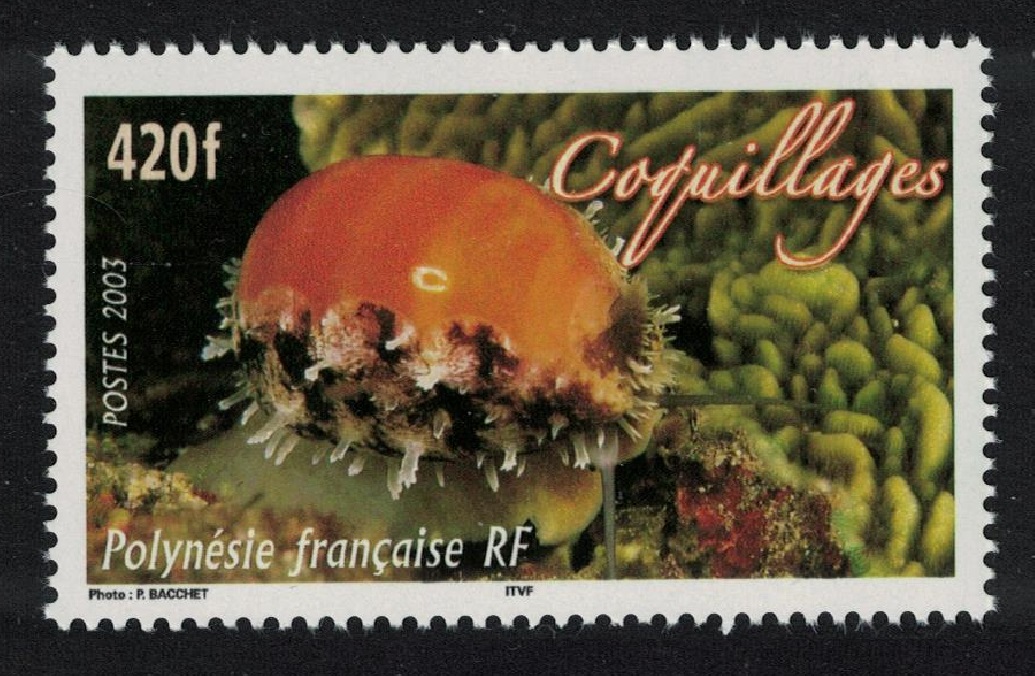 French Polynesia Shellfish 2003 MNH SG#963