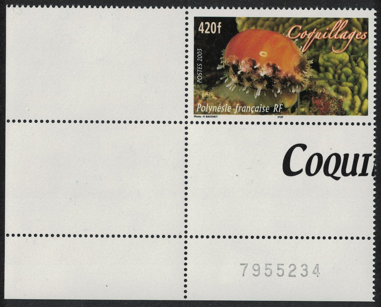 French Polynesia Shellfish Corner Control Number 2003 MNH SG#963