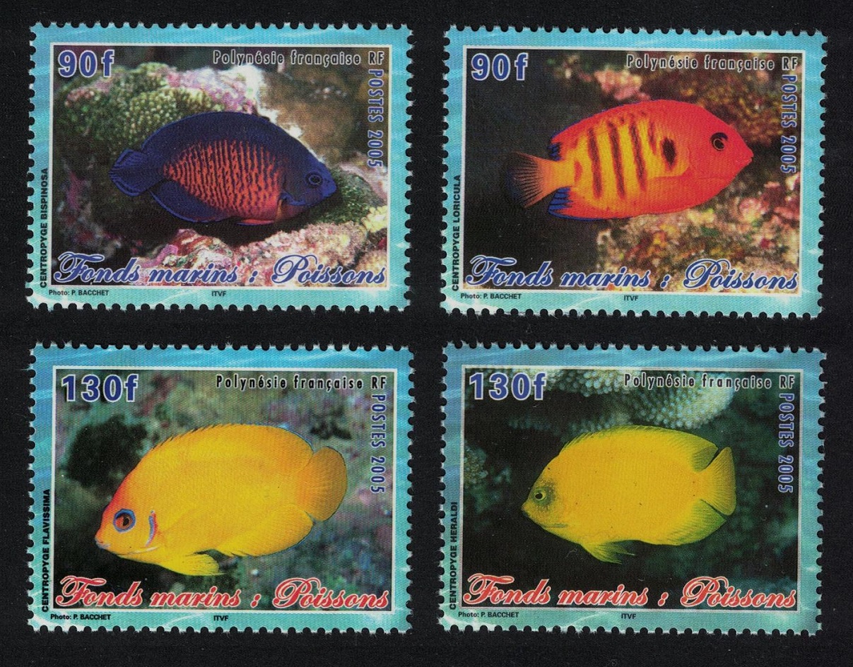 French Polynesia Fish 4v 2005 MNH SG#999-1002 MI#944-947