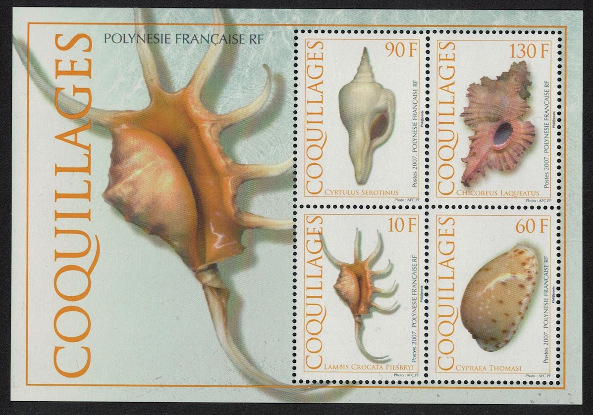 French Polynesia Shells MS 2007 MNH SG#MS1053 MI#Block 33