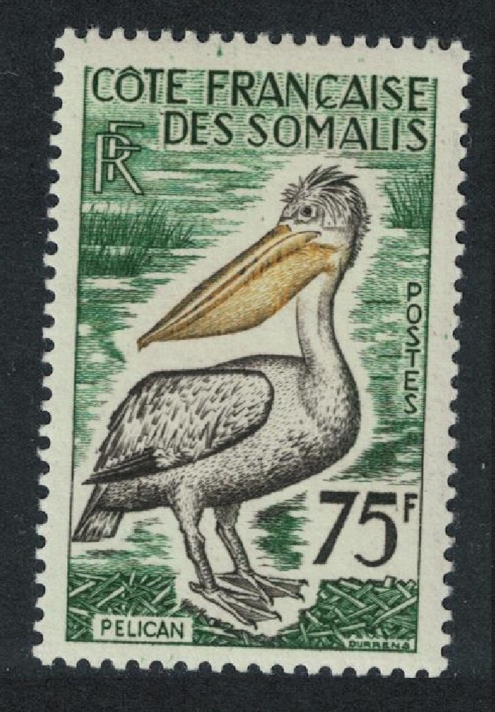 French Somali Coast Pink-backed pelican Bird 1958 MNH SG#446