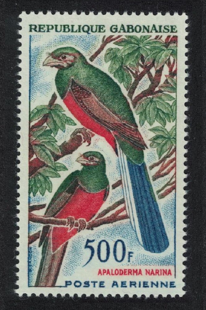 Gabon Narina&#39;s Trogon Bird 500f 1963 MNH SG#174 MI#189