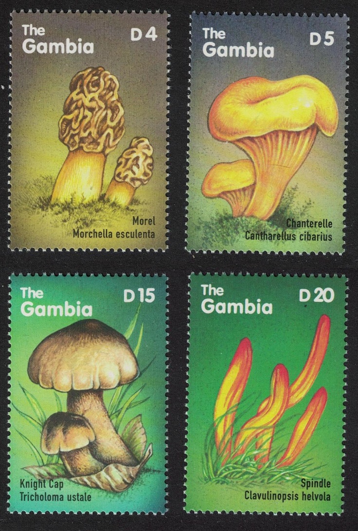 Gambia African Mushrooms 4v 2000 MNH SG#3507=3522