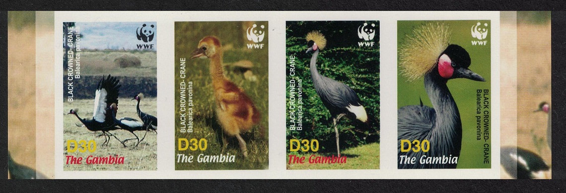 Gambia Birds WWF Black Crowned Crane Strip of 4v imperf 2006 MNH SG#4920-4923 MI#5631-5634 Sc#3014 a-d