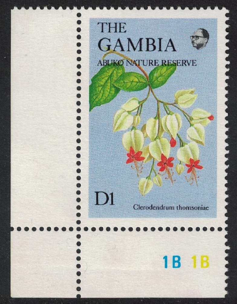 Gambia &#39;Clerodendrum thomsoniae&#39; Flowers 1987 MNH SG#716