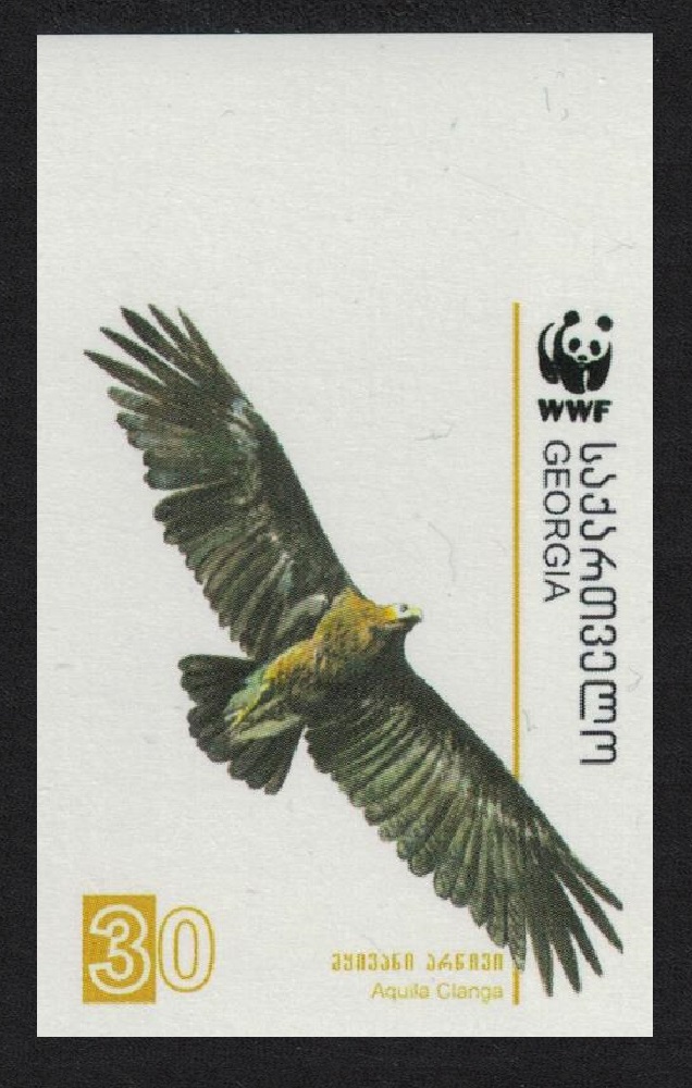 Georgia Birds WWF Greater Spotted Eagle 30t imperf 2007 MNH SG#509 MI#527 Sc#412