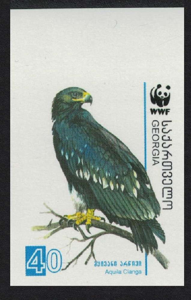 Georgia Birds WWF Greater Spotted Eagle 40t imperf 2007 MNH SG#510 MI#528 Sc#413