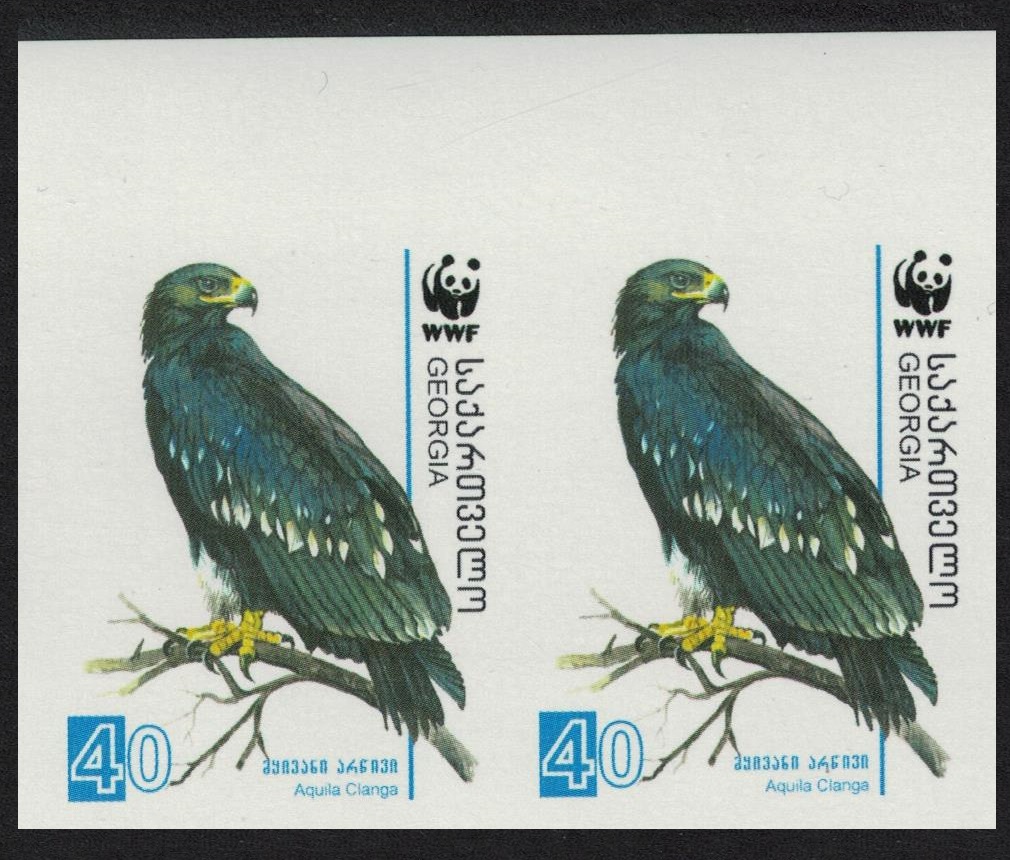 Georgia Birds WWF Greater Spotted Eagle 40t imperf Pair 2007 MNH SG#510 MI#528 Sc#413