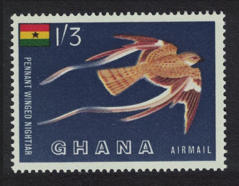 Ghana Pennant-winged nightjar Bird 1959 MNH SG#226 MI#61