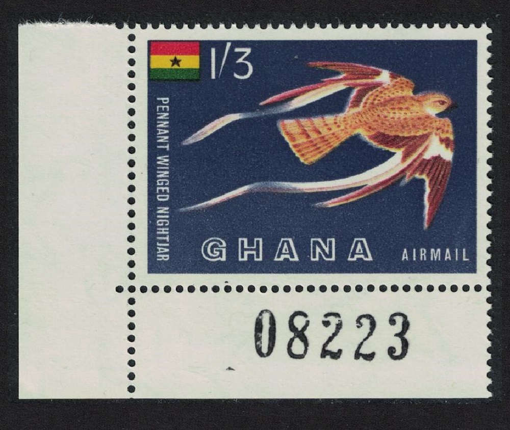 Ghana Pennant-winged nightjar Bird Corner Number 1959 MNH SG#226 MI#61