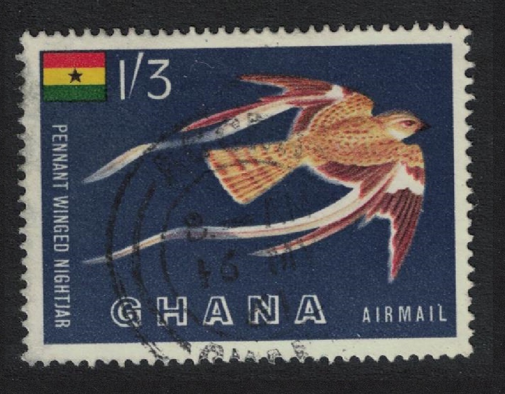 Ghana Pennant-winged nightjar Bird 1959 Canc SG#226 MI#61