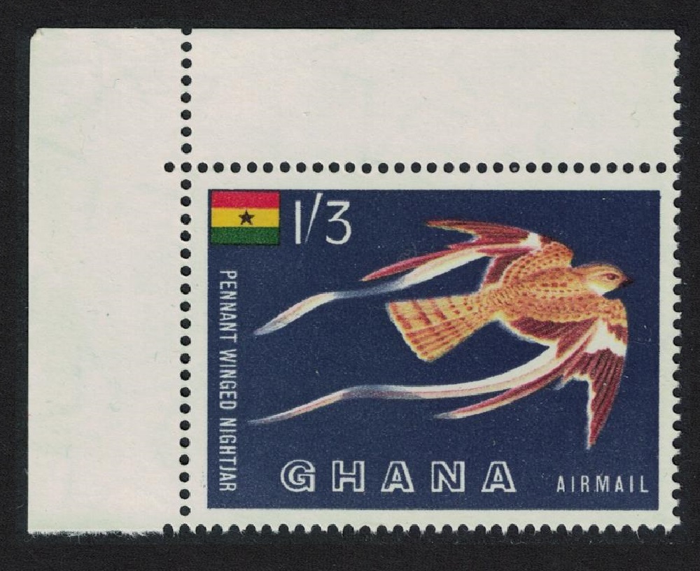 Ghana Pennant-winged nightjar Bird Corner 1959 MNH SG#226 MI#61