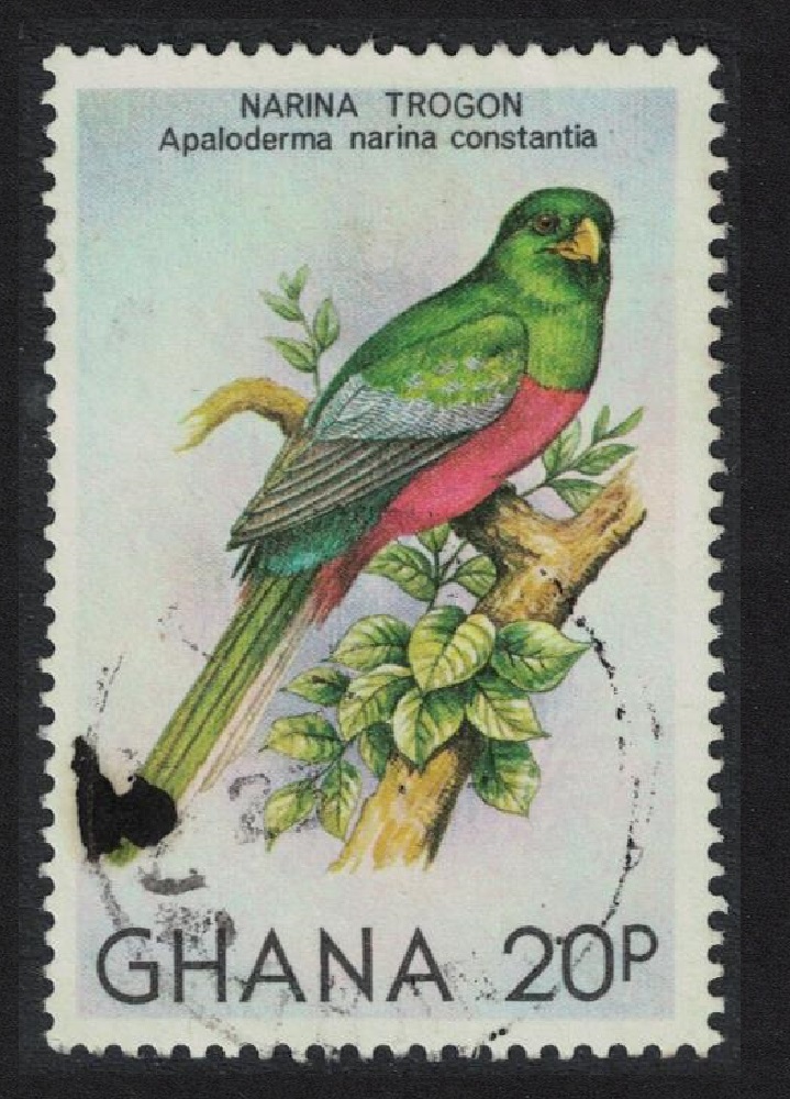 Ghana Narina&#39;s Trogon 1981 Canc SG#939