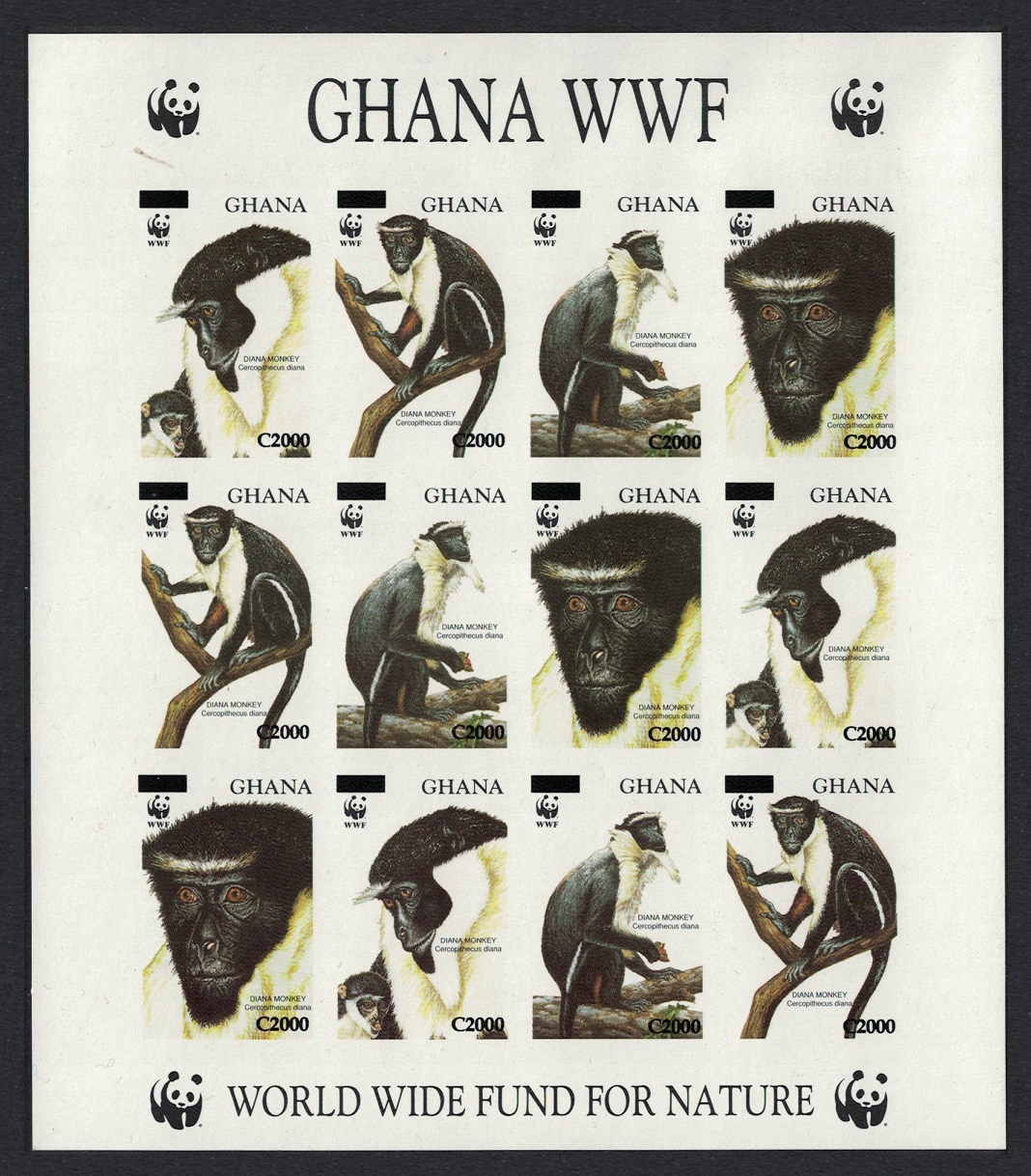 Ghana WWF Diana Monkey IMPERF SHEETLET overprinted RARR 2006 MNH SG#3574-3577 MI#3885-3888