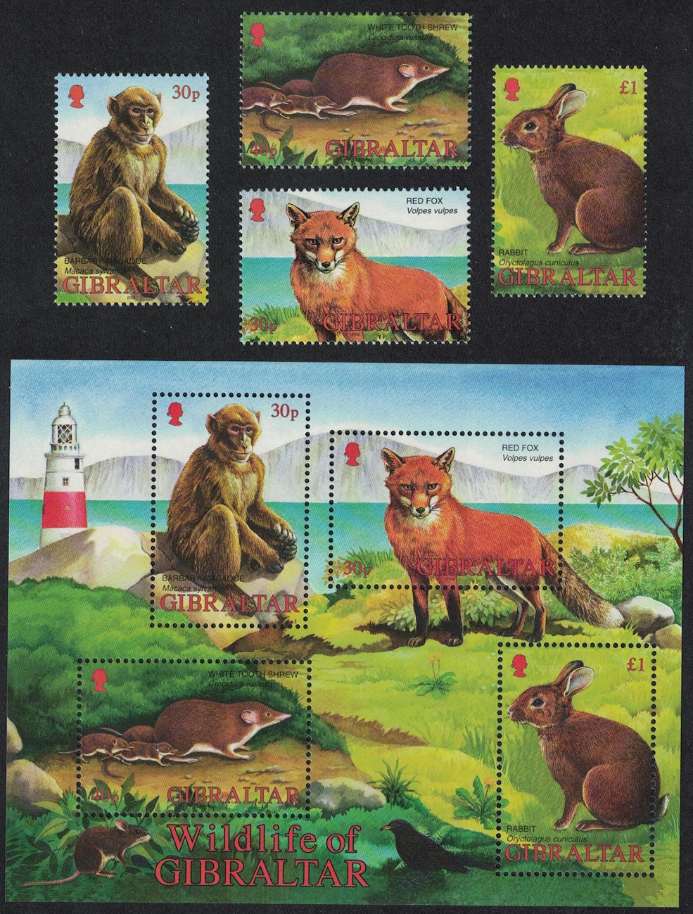 Gibraltar Fox Monkey Wildlife of Gibraltar Lighthouse 4v+MS 2002 MNH SG#1011-MS1015 Sc#909-912a