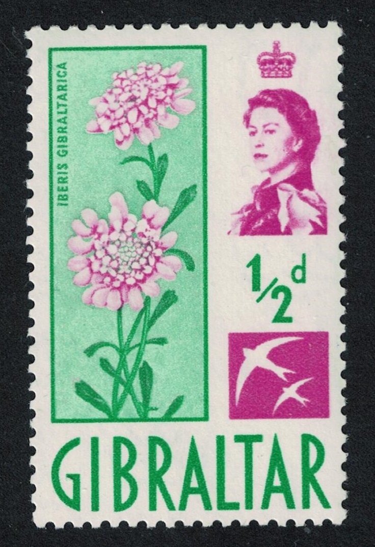 Gibraltar Candytuft Flower ½d 1960 MH SG#160