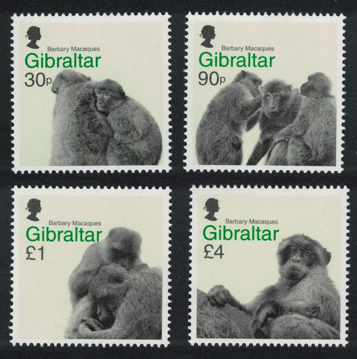 Gibraltar Monkeys Macaques 4v FV£6.20 2020 MNH