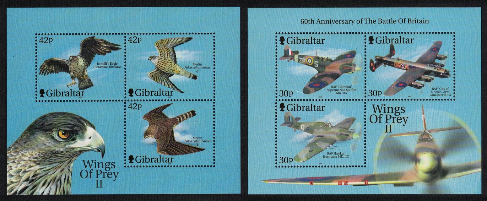 Gibraltar Birds of Prey and Jet Fighters 2 MSs 2nd series 2000 MNH SG#MS949 Sc#853d