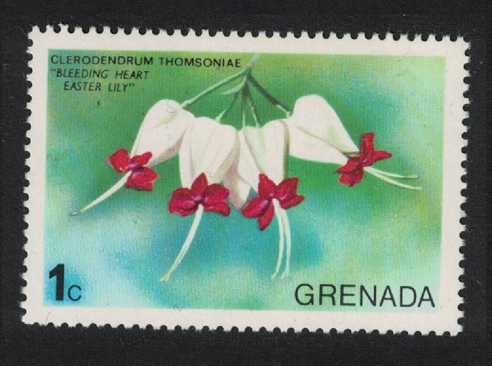 Grenada Easter Lily &#39;Bleeding Heart&#39; Flower 1975 MNH SG#679