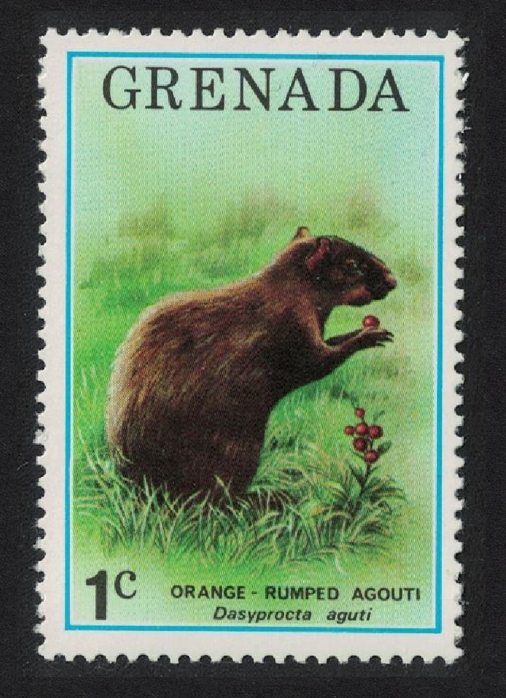 Grenada Brazilian agouti Animal Fauna 1976 MNH SG#762