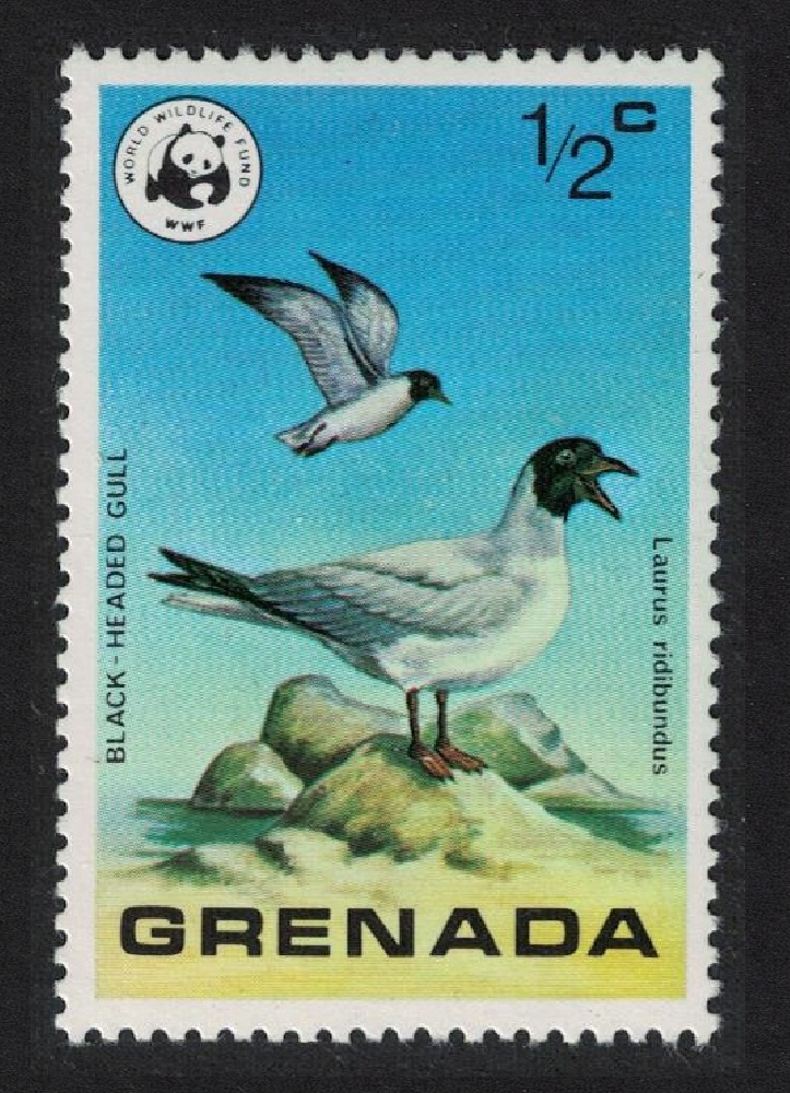 Grenada Black-headed Gull Bird WWF 1978 MNH SG#922