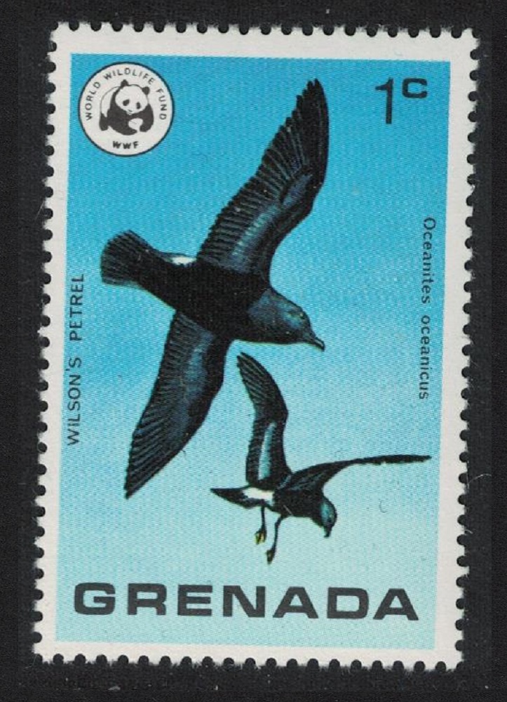 Grenada Wilson&#39;s storm petrel Bird WWF 1978 MNH SG#923