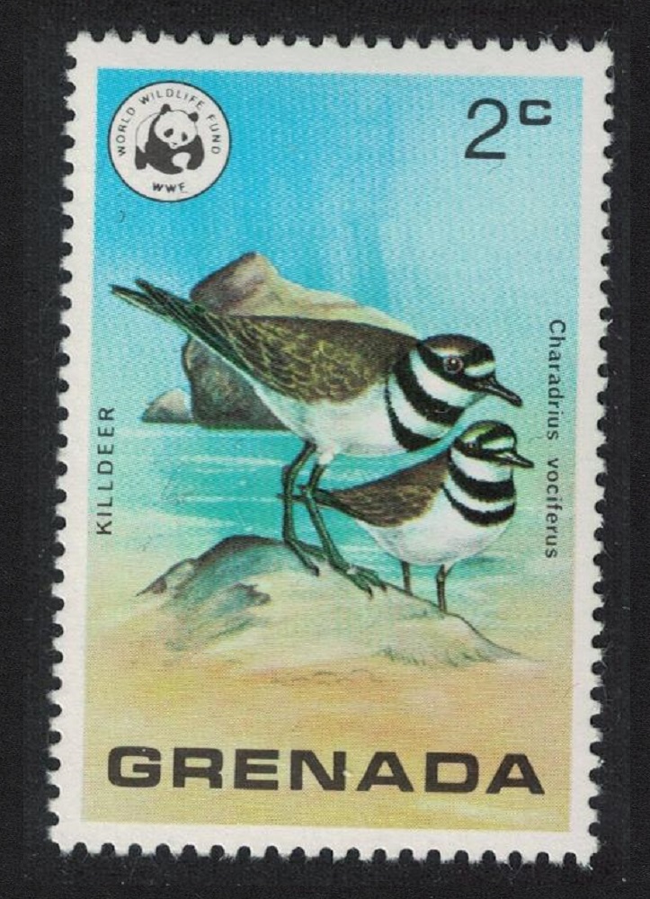 Grenada Killdeer plover Bird WWF 1978 MNH SG#924