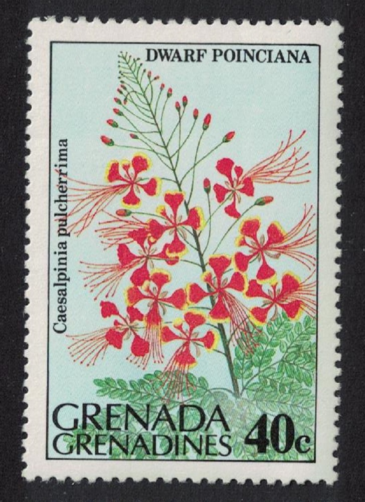 Grenada Grenadines Dwarf Poinciana Flower 1984 MNH SG#584