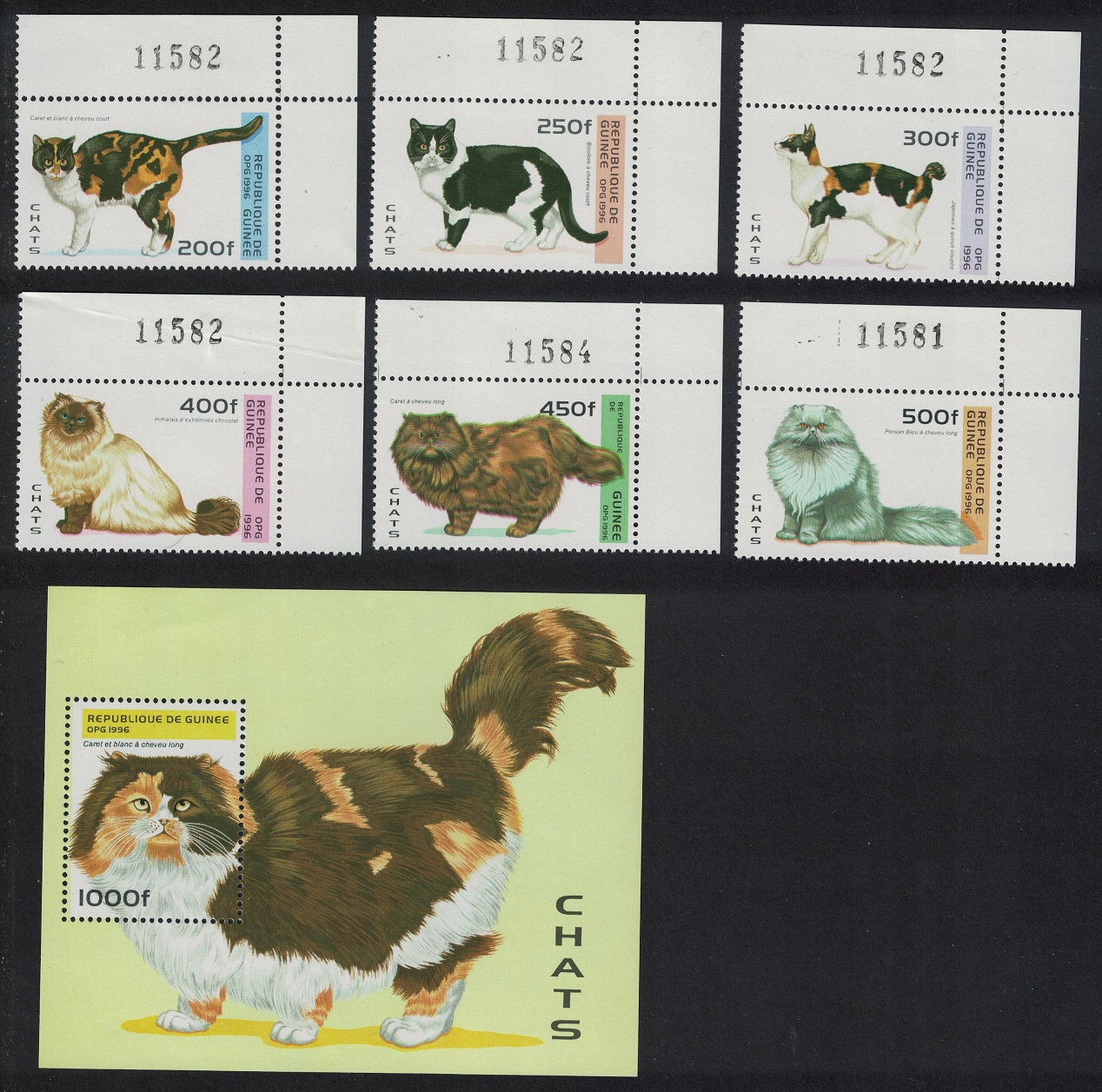 Guinea Cats 6v+MS Corners Control Numbers 1996 MNH SG#1705-MS1711 MI#1603-1608+Block 504