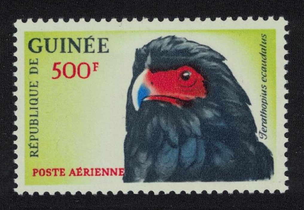 Guinea Bateleur Bird 500f airmail KEY VALUE 1962 MNH SG#363 MI#163