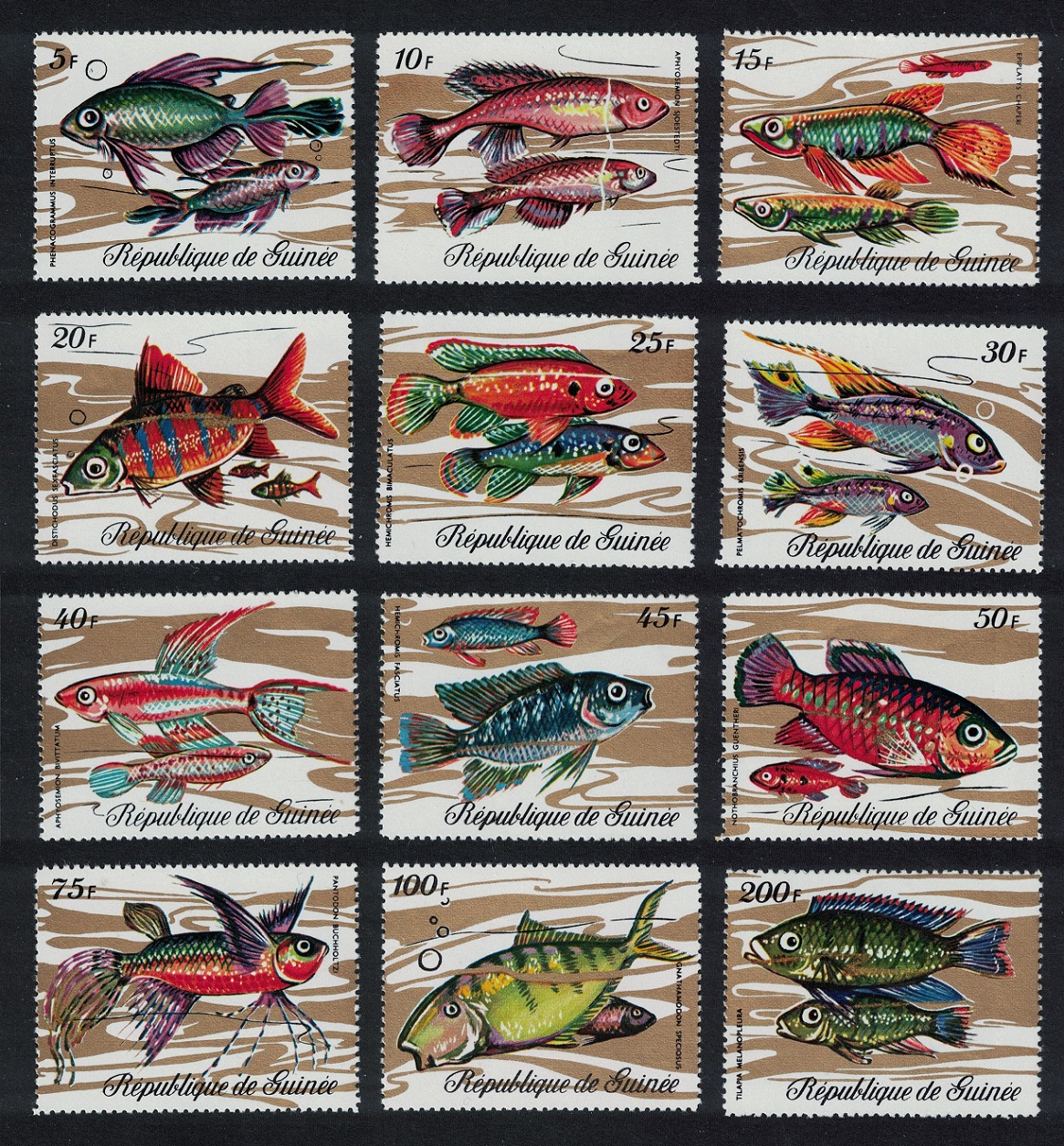 Guinea Fish 12v 1971 MNH SG#729-740 MI#571-582A Sc#570-581