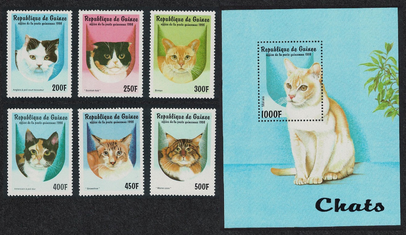 Guinea Cats 6v+MS 1998 MNH MI#1771-1776+Block 522